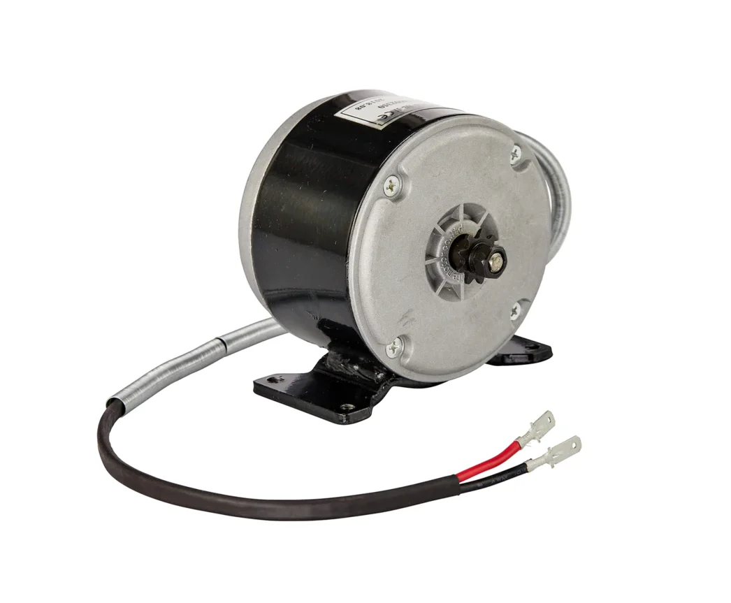 Crazy Cart 24V 250W Motor